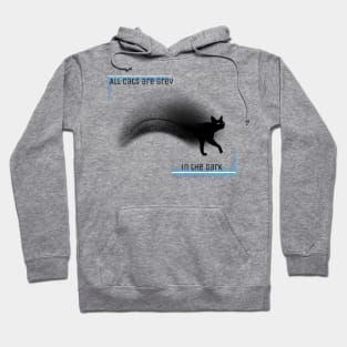 All cats are grey in the dark Hoodie